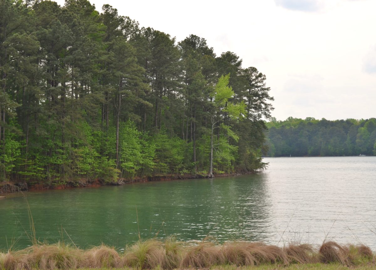 Shoal Creek Campground On Lake Lanier