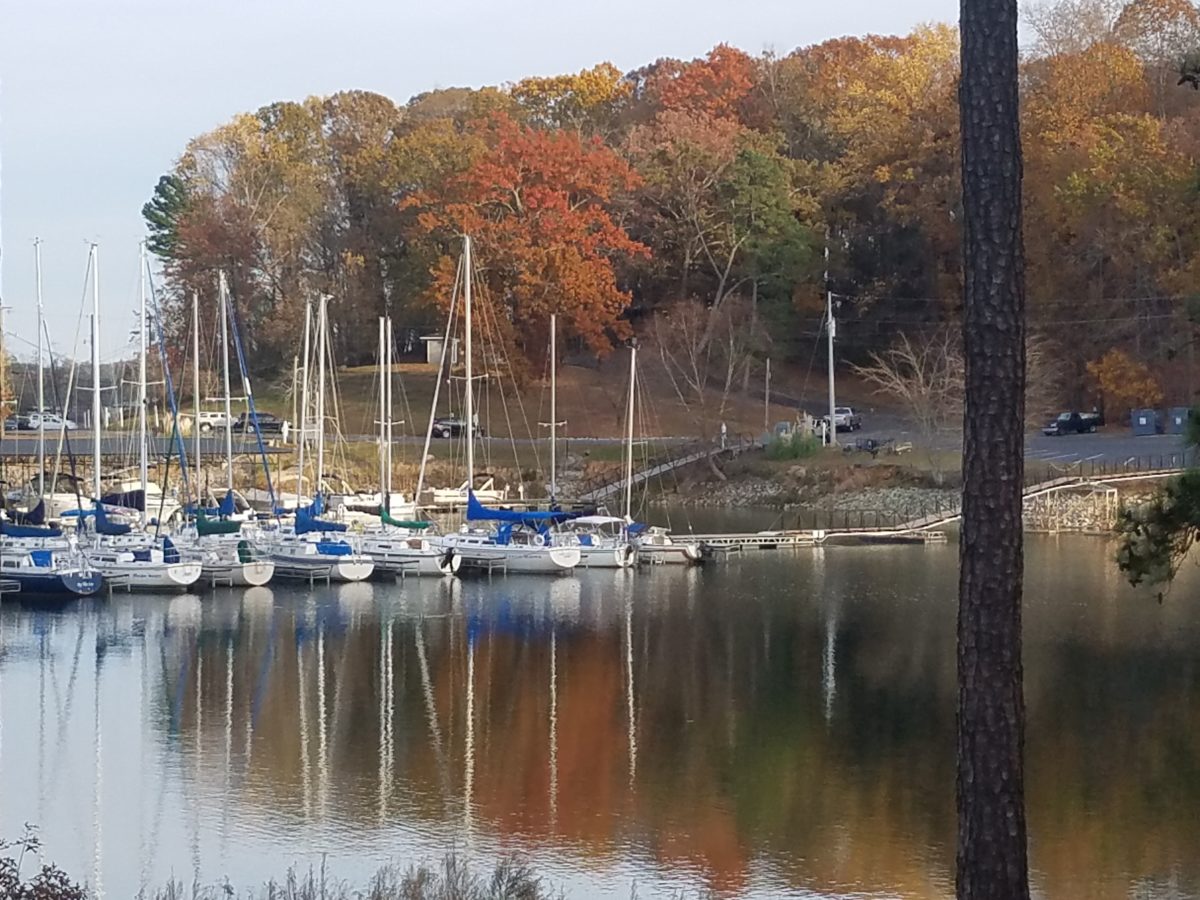 Burton Mill Park on Lake Lanier