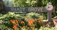 Shady Grove Campground