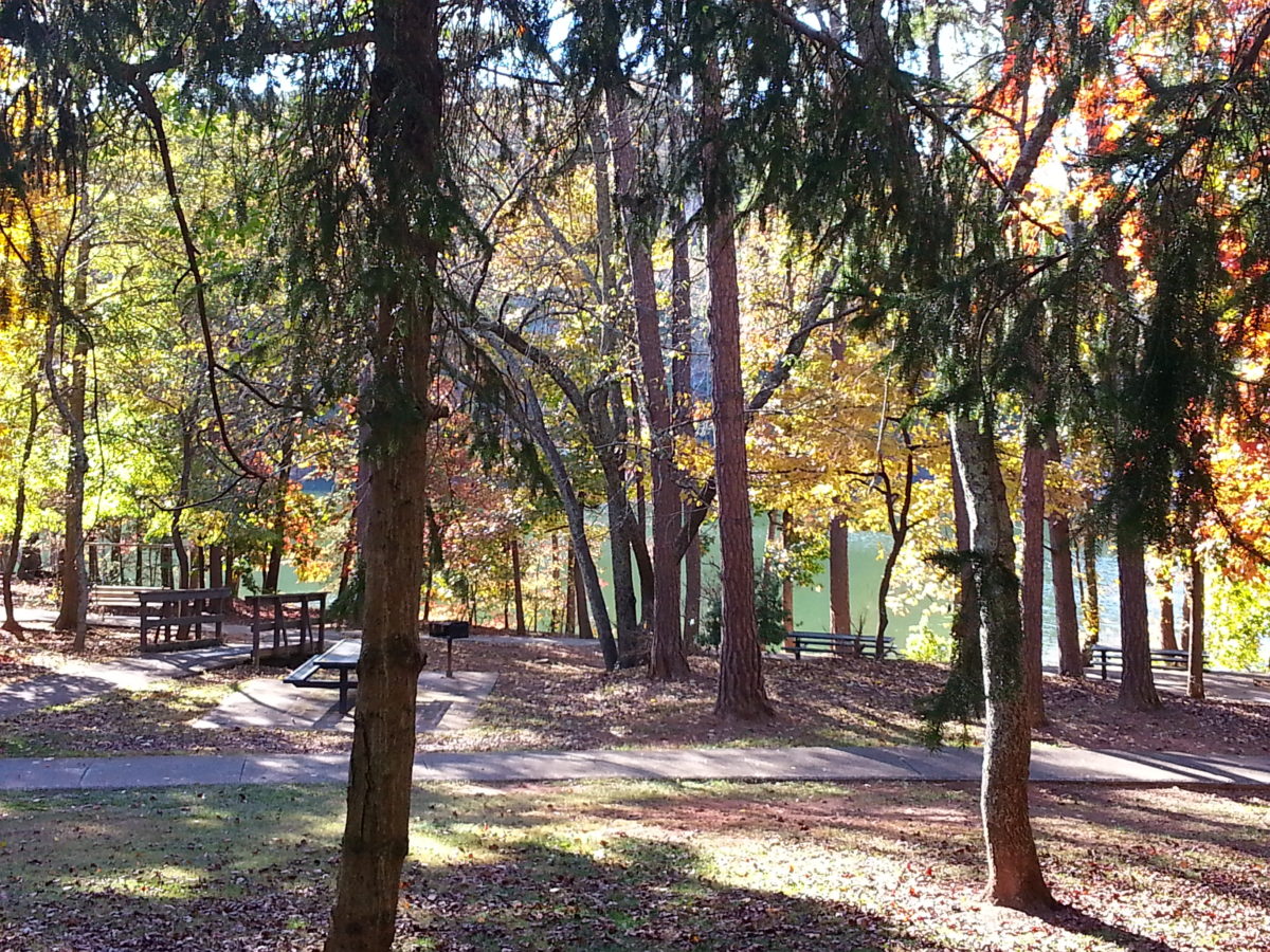 River Forks Park on Lake Lanier