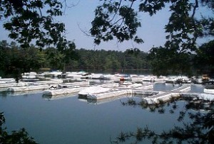 Habersham Marina