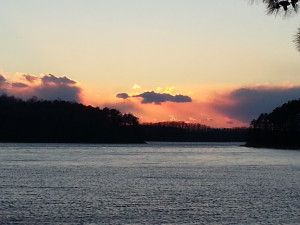 We extend our condolences to the family and friends of Susan Button, who perished in Lake Lanier. ~~ Photograph by Robert Sutherland