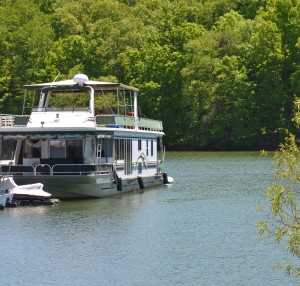 Boats on Lake Lanier must be properly licensed. ~~ Photograph by Robert Sutherland