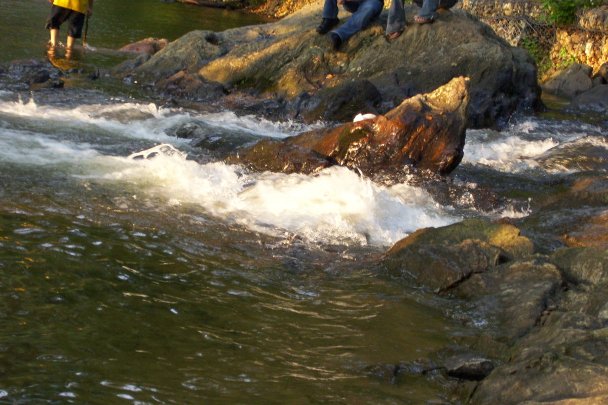 Five Delayed Harvest Trout Streams Open Saturday, 11-1-14