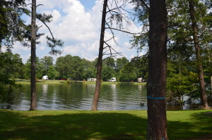 Pretty view from the shore of one of the parks on Lake Lanier. ~~ Photograph by Robert Sutherland