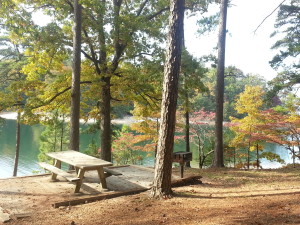 Day-use parks on Lake Lanier are almost everywhere. ~~ Photograph by Robert Sutherland