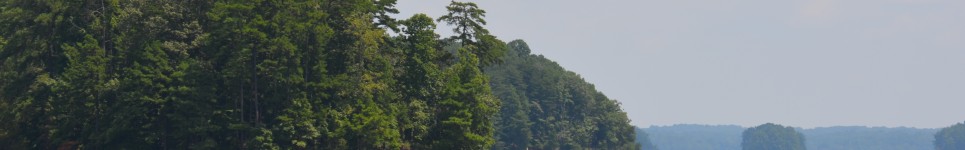 Free Ways to Celebrate National Hunting and Fishing Day