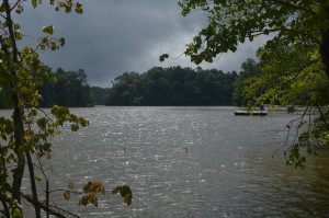 young deer park on lake lanier