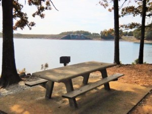 The view of Buford Dam from West Bank Park on Lake Lanier. ~~ Photographs by Robert Sutherland