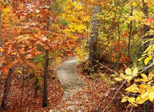 Come to Elachee Nature Center for the Trick or Trek Trail Run! ~ Photo courtesy of Elachee