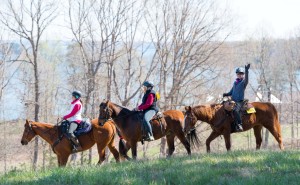 See Lanier Islands on horseback! ~ Photo by Gene Phillips Photography