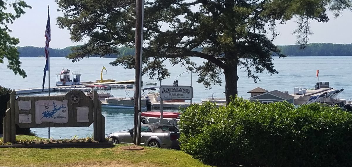 Pig Tales on Lake Lanier My New Favorite Lake Lanier