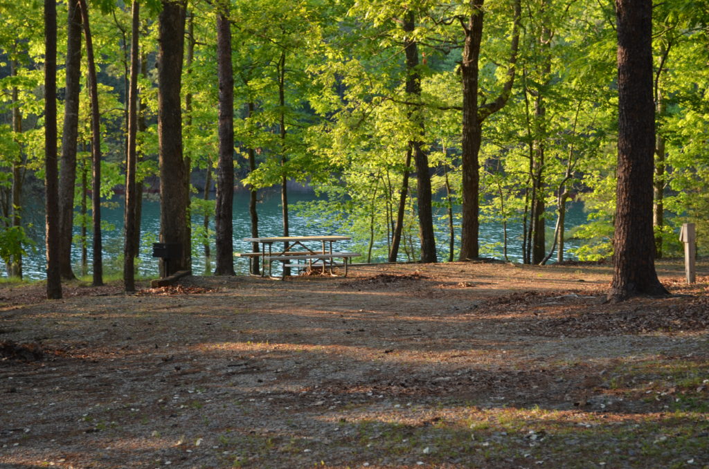 The Rv Resort At Lanier Islands Margaritaville Lake Lanier