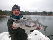 Lake Lanier Stripers